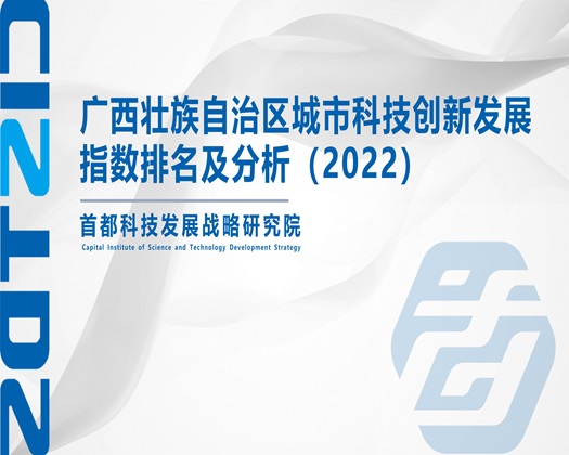 啊啊啊~不要好痛，下面湿透了。【成果发布】广西壮族自治区城市科技创新发展指数排名及分析（2022）